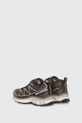 Salomon XT-6 Expanse L49201700 Earthb/Whpep/Coyote