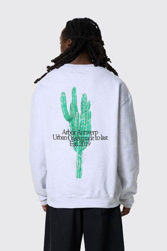 Arbor Antwerp Big Crewneck Cactus