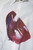 Sabbatical Wine Solution Shirt White