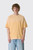 Bram's Fruit Distressed Big Lemon Outline T-Shirt 2026 Orange