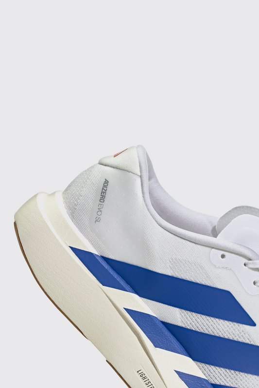 adidas Adizero EVO SL M FTWWHT/ROYBLU/PURRUB