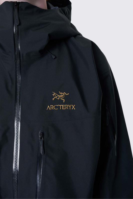 超希少　arc'teryx alpha sv Ｍ　 24k Arcteryx Alpha SV 24k Black Jacket XL RECCO TRIED ON ONCE