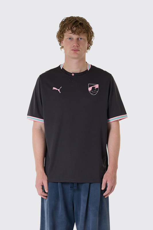 PUMA Palermo Third Jersey Replica 786210 Grey