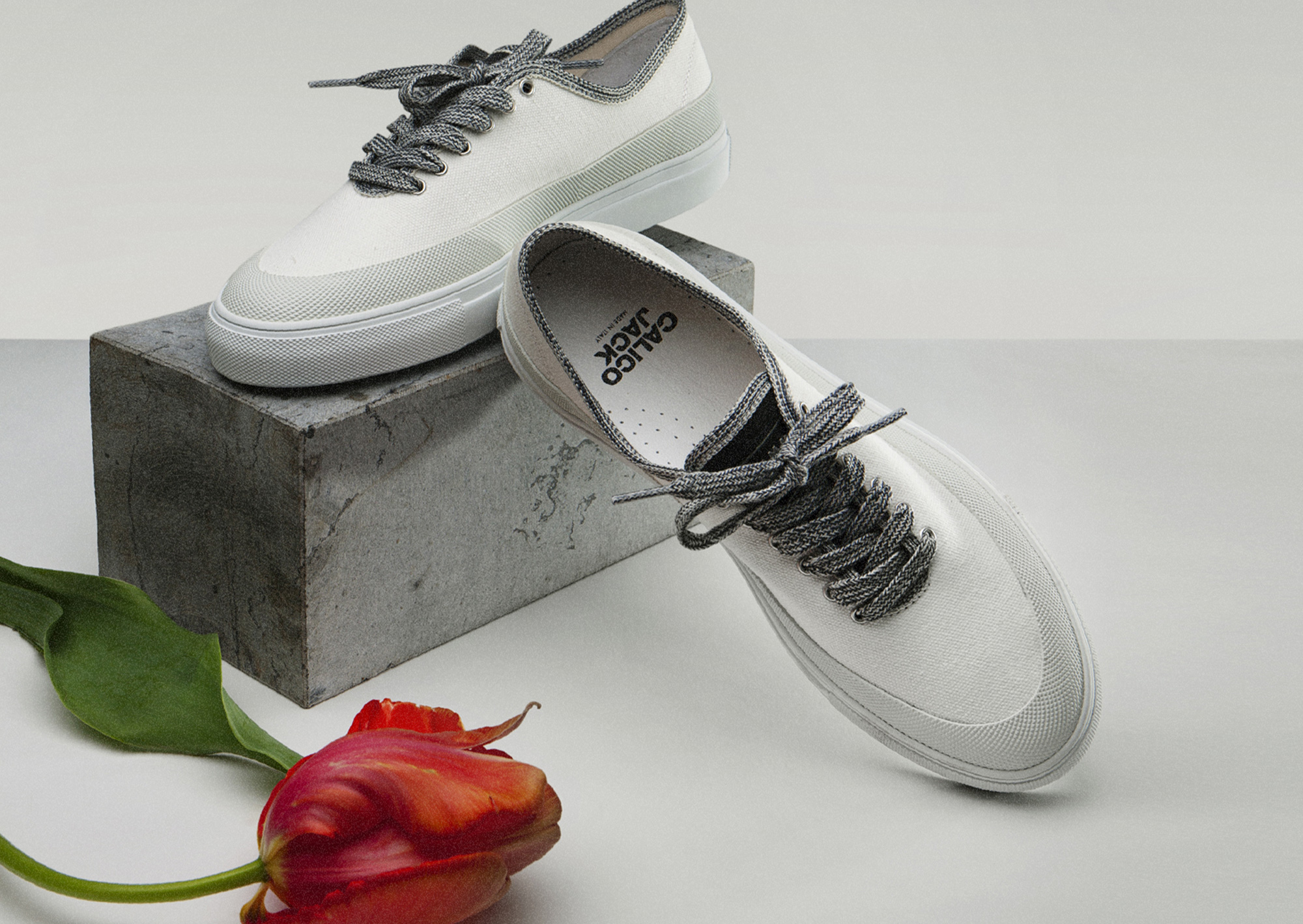 Diemme Recupero by Calico Jack