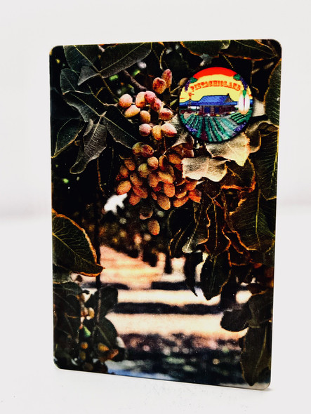 PistachioLand Holographic Magnet