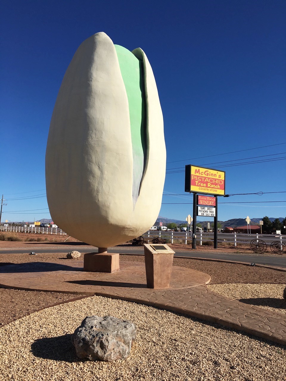 World's Largest Pistachio