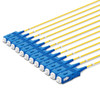 12 SC Simplex connectors, labelled, blue