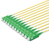 12 SC Simplex connectors, labelled, green