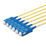6 SC Simplex connectors, labelled, blue