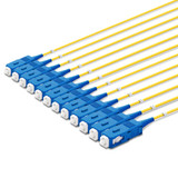 12 SC Simplex connectors, labelled, blue