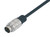 Binder 79-6171-20-08 M16 IP67 Male cable connector, Contacts: 8 (08-a), shielded, moulded on the cable, IP67, PUR, black, 8 x 0.25 mm², 2 m | American Cable Assemblies
