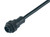 Binder 79-0231-20-04 RD24 Male cable connector, Contacts: 3+PE, unshielded, moulded on the cable, IP67, PVC, black, 4 x 1.50 mm², 2 m | American Cable Assemblies