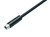 Binder 79-3409-55-03 M8 Male cable connector, Contacts: 3, unshielded, moulded on the cable, IP65, PUR, black, 3 x 0.25 mm², 5 m | American Cable Assemblies