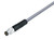 Binder 77-3405-0000-20005-1000 M8 Male cable connector, Contacts: 5, unshielded, moulded on the cable, IP67/IP69K, UL, PVC, grey, 5 x 0.34 mm², 10 m | American Cable Assemblies