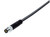 Binder 77-3705-0000-50006-0500 M8 Male cable connector, Contacts: 6, unshielded, moulded on the cable, IP67, UL, PUR, black, 6 x 0.25 mm², stainless steel, 5 m | American Cable Assemblies
