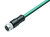 Binder 77-3530-0000-34708-0300 M12-A Female cable connector, Contacts: 8, shielded, moulded on the cable, IP67, Ethernet CAT5e, TPE, blue green, 4 x 2 x AWG 24, 3 m | American Cable Assemblies