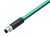 Binder 77-5429-0000-34704-0300 M8-D Male cable connector, Contacts: 4, shielded, moulded on the cable, IP67, Ethernet CAT5e, TPE, blue green, 2 x 2 x AWG 24, 3 m | American Cable Assemblies