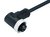 Binder 77-1434-0000-50003-0200 7/8" Female angled connector, Contacts: 3, unshielded, moulded on the cable, IP68, UL, PUR, black, 3 x 1.50 mm², 2 m | American Cable Assemblies