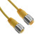Mencom MINH-7MFPX-6M-SS MIN Power Size I, Cordset, 7 Pole, Male Straight / Female Straight, 6m, 12/1A or 9/5A, Yellow, PVC, Stainless Steel | American Cable Assemblies