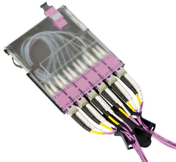 Procyon Fiber Module, Multimode 50/125 OM4, 12-Fiber, MTP/MPO-LC Duplex | American Cable Assemblies