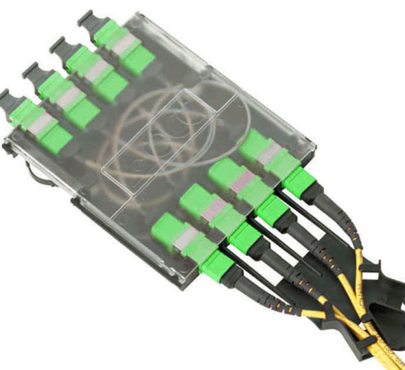 Procyon Fiber Module, Singlemode, 48-Fiber (4x12), MTP/MPO-MTP/MPO | American Cable Assemblies
