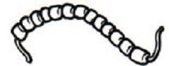 Daburn 10-215B Fish Spine Beads | American Cable Assemblies