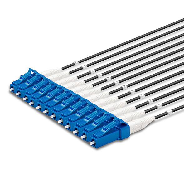 12 LC Simplex connectors, labelled, blue
