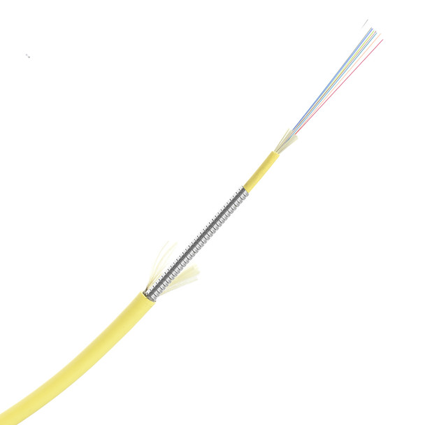 12 Fiber OS2 250um Riser Indoor Armored Fiber Optic Cable