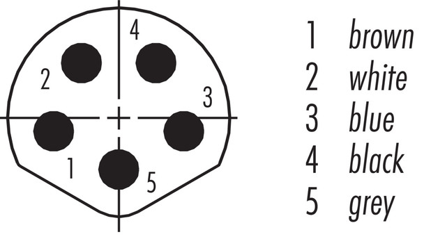Binder 77-3405-0000-20005-0500 M8 Male cable connector, Contacts: 5, unshielded, moulded on the cable, IP67, UL, PVC, grey, 5 x 0.34 mm², 5 m