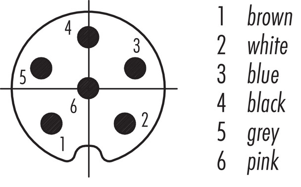 Binder 77-3705-0000-50006-0200 M8 Male cable connector, Contacts: 6, unshielded, moulded on the cable, IP67, UL, PUR, black, 6 x 0.25 mm², stainless steel, 2 m