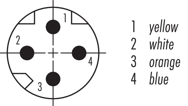 Binder 77-5429-5429-34704-0060 M8-D Connecting cable 2 male cable connectors, Contacts: 4, shielded, moulded on the cable, IP67, Ethernet CAT5e, TPE, blue green, 2 x 2 x AWG 24, 0.6 m