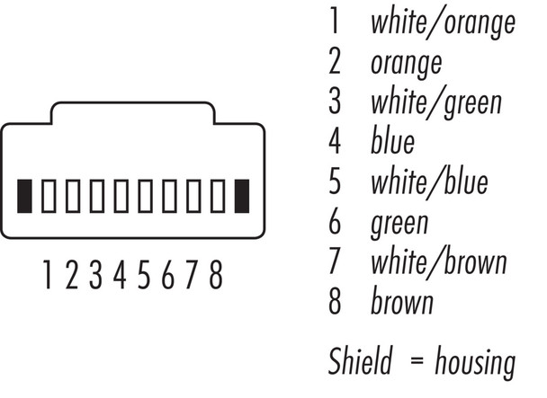 Binder 77-9753-9753-34708-0200 RJ45 Connecting cable 2 RJ45 connector, Contacts: 8, shielded, moulded on the cable, IP20, Ethernet CAT5e, TPE, blue green, 4 x 2 x AWG 24, 2 m
