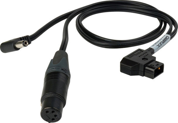Camplex BLACKJACK 4-Pin XLR Female & 2.5mm DC Plug to P-TAP Y-Cable - 18-Inch | American Cable Assemblies