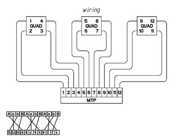 Camplex CMX-NEMA-MTPQUAD opticalCON MTP NO12FDW-A to (3) SM  QUAD NO4FDW-A