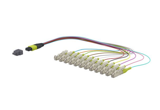 Metz Connect 151R5TMMO003A OpDAT Ader-Fanout MTP-M/12xE2000-S OM5 0.3 m | American Cable Assemblies