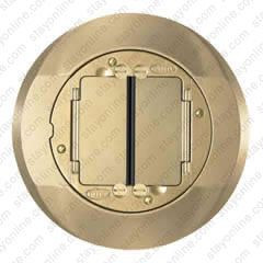 HUBBELL S1CFCBRS SystemOne Cover Carpet Brass Finish