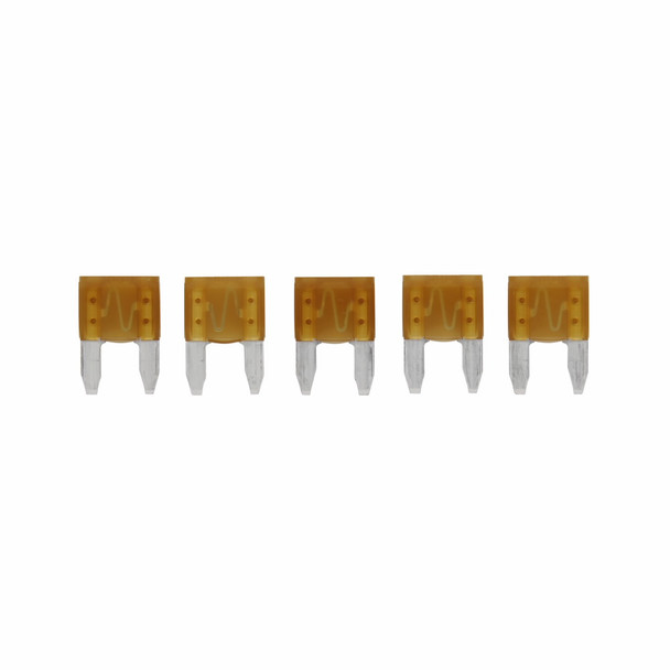 Bussmann ATM-5 Miniature Fuse | American Cable Assemblies