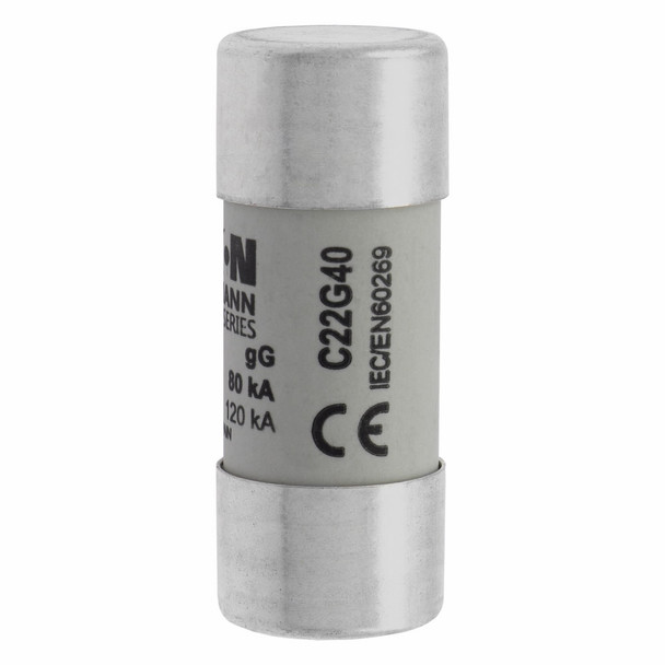 Bussmann C22G40 Cylindrical Fuse Link