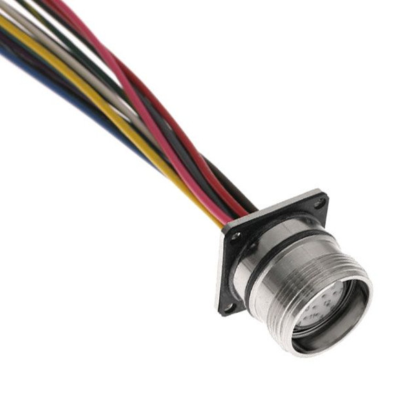 Mencom MCV-16FR-0.3M-RM25 MCV, M23 Receptacle, 16 Pole, Female Straight, Discrete, 0.3M, 5A, Rear Mount, M2.5 Tapped Holes, Nickel Plated Brass | American Cable Assemblies