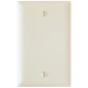 DOUBLE GANG WALLPLATE