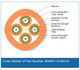 Cross Section of Part Number: 004K61-31330-24