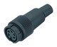 Binder 99-0618-02-06 Bayonet Female cable connector, Contacts: 6, 6.0-8.0 mm, unshielded, solder, IP40 | American Cable Assemblies