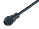 Binder 79-0231-20-04 RD24 Male cable connector, Contacts: 3+PE, unshielded, moulded on the cable, IP67, PVC, black, 4 x 1.50 mm², 2 m | American Cable Assemblies