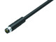 Binder 79-3413-55-05 M8 Male cable connector, Contacts: 5, unshielded, moulded on the cable, IP65, PUR, black, 5 x 0.34 mm², 5 m | American Cable Assemblies