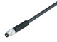 Binder 77-3405-0000-50006-0500 M8 Male cable connector, Contacts: 6, unshielded, moulded on the cable, IP67, UL, PUR, black, 6 x 0.25 mm², 5 m | American Cable Assemblies
