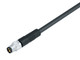 Binder 77-3405-0000-50008-0500 M8 Male cable connector, Contacts: 8, unshielded, moulded on the cable, IP67, UL, PUR, black, 8 x 0.25 mm², 5 m | American Cable Assemblies