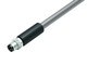 Binder 77-3505-0000-20703-0500 M8 Male cable connector, Contacts: 3, shielded, moulded on the cable, IP67, UL, PVC, grey, 3 x 0.34 mm², 5 m | American Cable Assemblies