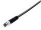 Binder 77-3705-0000-50008-0200 M8 Male cable connector, Contacts: 8, unshielded, moulded on the cable, IP67, UL, PUR, black, 8 x 0.25 mm², stainless steel, 2 m | American Cable Assemblies