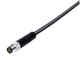 Binder 77-3705-0000-50008-0500 M8 Male cable connector, Contacts: 8, unshielded, moulded on the cable, IP67, UL, PUR, black, 8 x 0.25 mm², stainless steel, 5 m | American Cable Assemblies