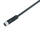 Binder 77-3406-0000-50006-1000 M8 Female cable connector, Contacts: 6, unshielded, moulded on the cable, IP67/IP69K, UL, PUR, black, 6 x 0.25 mm², 10 m | American Cable Assemblies